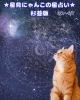 神秘的な星空と猫の占いで開運「🌟 杉並区版☆12星座占い 🌟 まいぷれ☆星見にゃんこ 🌟 6/1〜6/7」