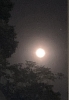 今夜の月は、ブルームーン🌕「今日の満月は、特別な満月「ブルームーン」🌕✨」