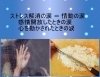 「涙活【ストレス解消　リラックス　涙】」