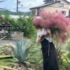 34Gardenの芝生広場にあるWildドライガーデン🪴