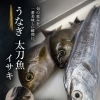6月の11,000円おまかせコースのご案内