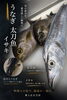 「6月の11,000円おまかせコースのご案内」