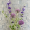 今週のお花🪻