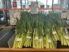 本日入荷野菜「6/1(月)きてか〜なです。」