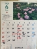 6月！彩り鮮やかな紫陽花見頃、元気に営業「2026年6月の営業日・営業時間のご案内」