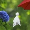 ☔雨が増える前に🐌 