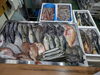 令和8年6月1日 店内「📣本日のお魚情報🐟」