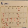 ６月のお休み