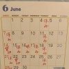 ６月のお休み