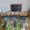 今年の枝豆シーズンが始まりました🫛🌞
