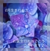 6月生まれの方お誕生日おめでとうございます💜「🩵6月生まれの方🩵」