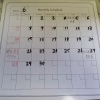 ６月の予定！
