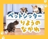 「【ご利用の流れ】江戸川区でペットシッターが気になったら？問い合わせからお世話当日までをカンタン解説！」