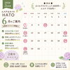 心と体を癒す隠れ家サロンHATO「北斗市で整体＆エステをお探しの方へ✨HATO2周年イベント＆6月営業日」