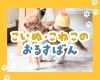 「【シッター日誌】最近増えている「子犬・子猫」のお留守番のお話」