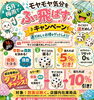 6月イベント🐸「徳島市鮎喰町セレクトショップMtoYou♡6月イベント🐸」