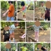 🌴aloalo🌴公園🌺