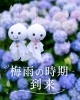 「梅雨の不調は気圧のせいかも？☔️身体が重だるく感じる理由」