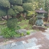 草刈り草むしり