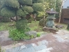 作業前「草刈り草むしり」