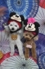 トイプードルのリコちゃん♪ テディベアポシェットで和傘柄春フォト