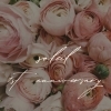 Soleil 1周年【諏訪市のリラクゼーションエステ　体の疲れにおすすめ】