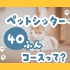 【お留守番の味方】ペットシッター40分コースってどんな感じ？お世話当日の流れをシミュレーション！