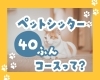 「【お留守番の味方】ペットシッター40分コースってどんな感じ？お世話当日の流れをシミュレーション！」
