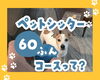 「【お散歩も遊びも！】ペットシッター60分コースってどんな感じ？お世話当日の流れをシミュレーション！」
