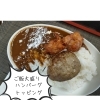 今週のメニューの写真です