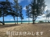 「🌴aloalo🌴お休みします🌺」