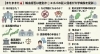 エホバの証人訴訟から考える日本の医療現場 | えんどうファミリー