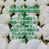 悪天候によるオープン時間変更のお知らせ