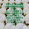 オープン時間変更のお知らせ「悪天候によるオープン時間変更のお知らせ」