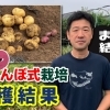 とうやたデストロイヤーを仲良く植え付け！　超・浅植えサクランボ栽培の結果発表！！　たねのハシモトミヤ