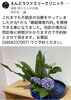 「「睡眠障害内科」を標榜しました　」