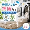 梅雨入り前の準備はできていますか？