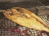 「毎日仕入れる旬の魚介を炭火で丁寧に」