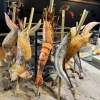 「旬の魚を炭火で堪能！だるま定番の魚介メニュー」