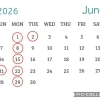 6月のお休み