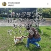 他の犬に近づくけど吠える犬のなぜ？