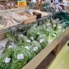 夏野菜増えてきましたよ～