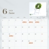 6月店休日のお知らせ