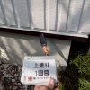 外壁の足元を守る「水切り」とは？塗装で長く安心なお住まいに
