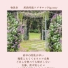 夜中の授乳がつらくなったら「宿泊型の産後ケア」という選択肢も
