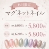 【✨6月限定キャンペーン✨】マグネットネイル