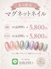 「【✨6月限定キャンペーン✨】マグネットネイル」