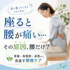 座っていると腰が痛い、長座をすると腰がつらい…「【草津市・南草津】座ると腰が痛い方へ｜腰だけが原因とは限りません」