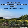 自転車で巡る癒やしの時間「6/6,13,20の土曜早朝ライド＆ヨシハラ4時50分 休止日のお知らせ」