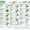6月の飾り葉のご案内＊初夏の彩りに青もみじやほお葉をどうぞ【食品卸業＊業務用食品＊観音寺市】